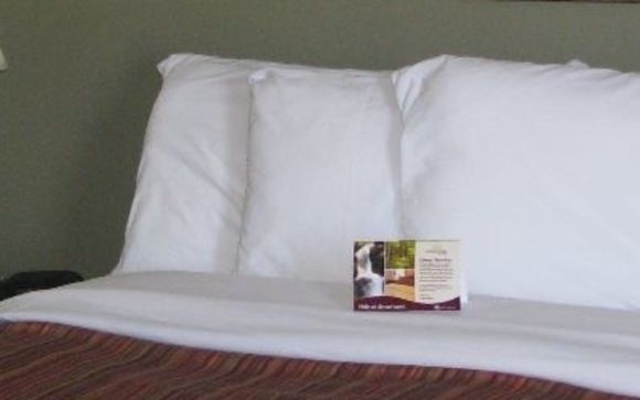 Room Types: by Chateau Regina Hotel and Suites