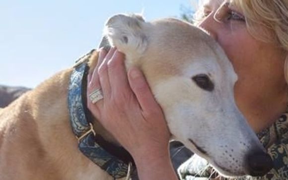 non-profit campaign to end dog racing by GREY2K USA Worldwide