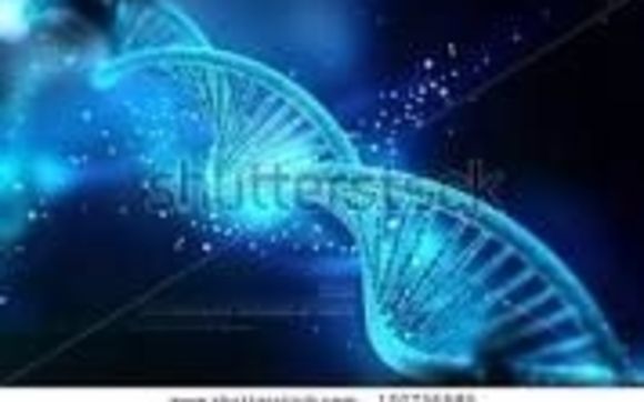 Reconnective Healing Session by Emboldened Heart