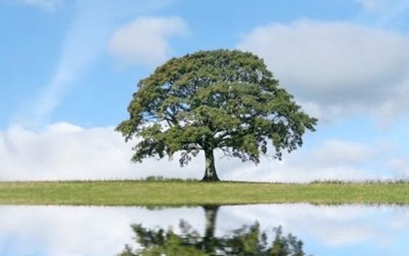 Your Prosperity Solution MP3 by  Zoilita Grant Mindset-for-Success