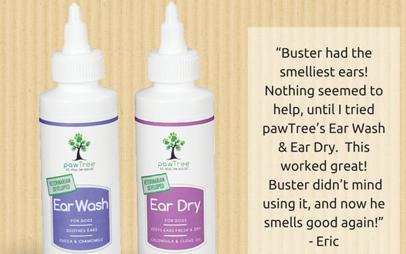 Ear Wash & Dry by The Pet Wellness Coach