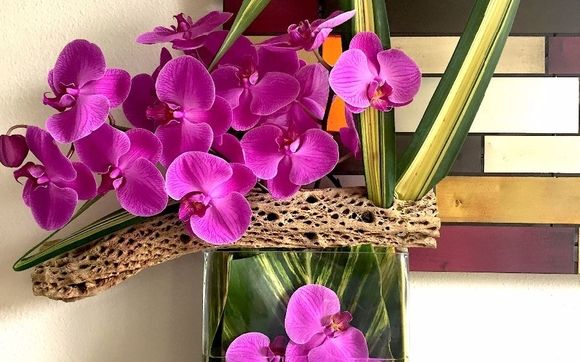 Malleret a la maison by Malleret Designs