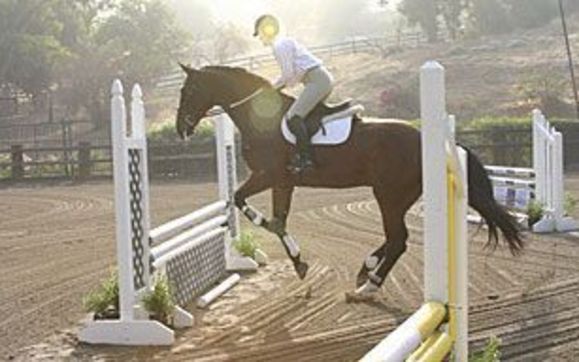 Riding Lessons by Shadow Hills Equestrian Center