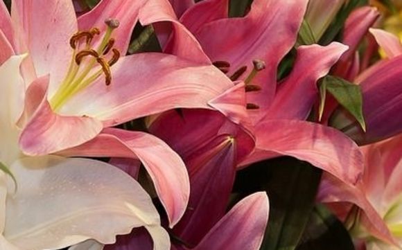 Funeral Flowers by Petals On The Trail