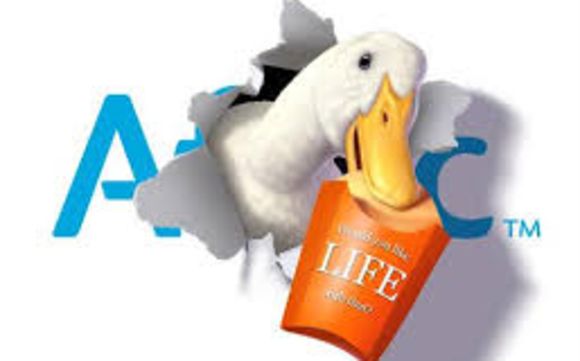 Life Insurance By Aflac In Lawrenceville Ga Alignable