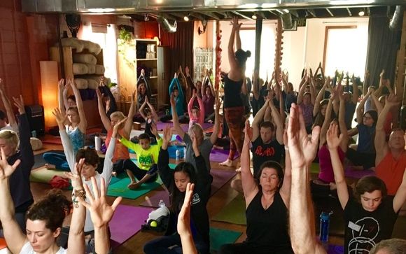 Daily Classes Yoga Trainings By Blooming Life Yoga Studio