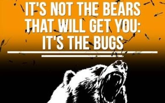 It’s Not the Bears That Will Get You: It’s the Bugs by PUSH the Envelope™ | Philip Cohen, MCC