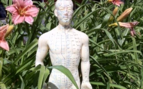 Acupuncture & Homeopathy by Back to Basics Health and Wellness