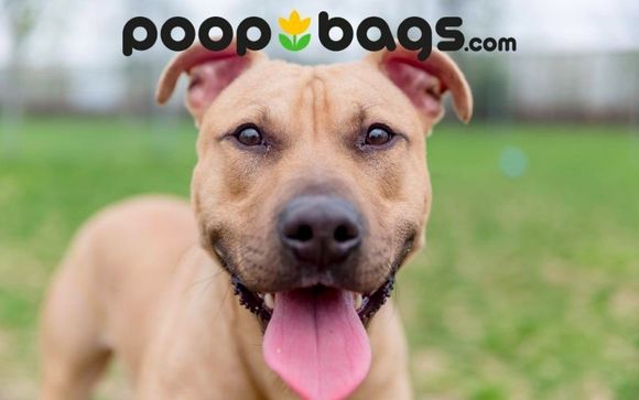 The Original Poop Bags® by The Original Poop Bags®