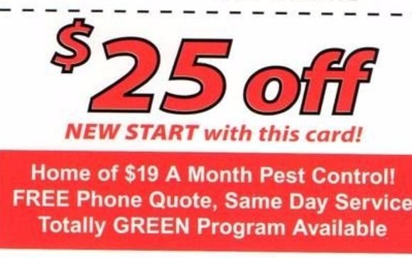 Discount For New Clients! by Zap Pest Control FL