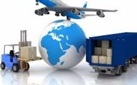 Alpha Dogs Moving Packing Number One Leader And Go To Moving Company We Get The Job Done Right From Start to End! by Chavonne Devito 