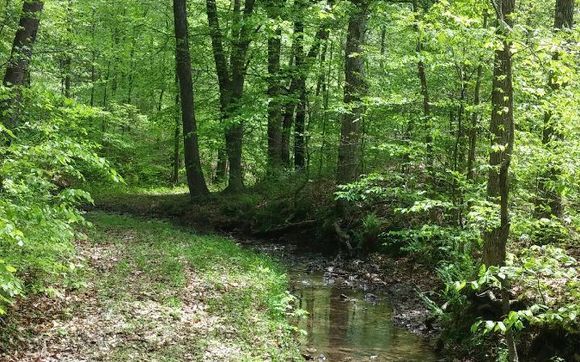 Trail by Little Eden B&B