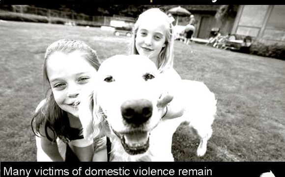 Safe Place For Pets. by Lethbridge Animal Care & Control