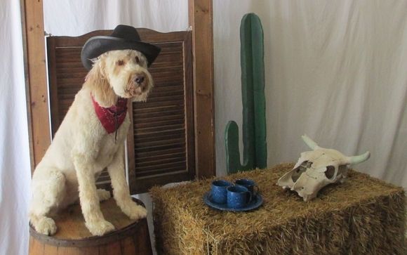 Themed props for Parties and Special Events by Prop Rentals NY