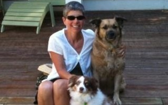 loving, reliable pet care and dog walking by Around The Block Pet Care LLC