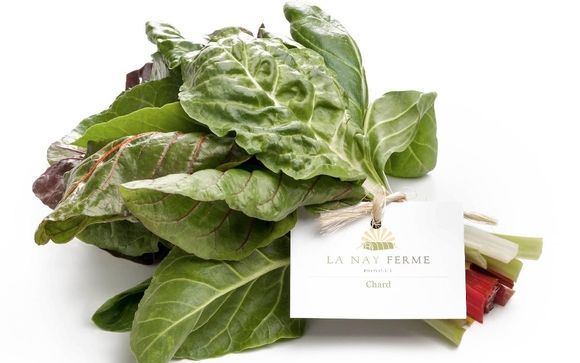 Chad by La Nay Ferme