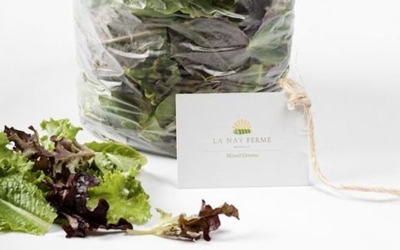 Mixed greens by La Nay Ferme