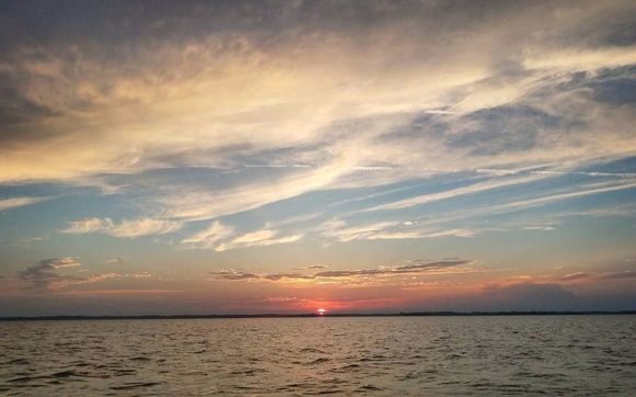 Any and All Photographic Services by Andrea Deibert Photography