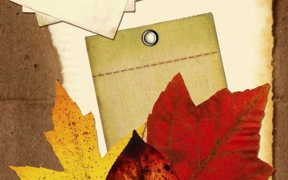 FREE Stock images by Billy Frank Alexander Design