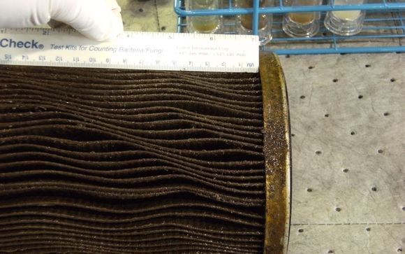 Microbial Contamination by Biodeterioration Control Associates, Inc.