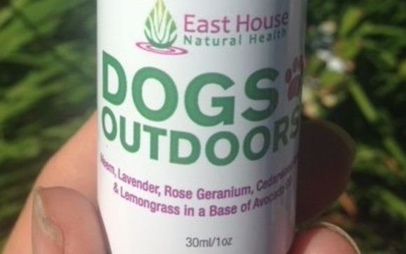 Dogs Outdoors by East House Natural Health Centre