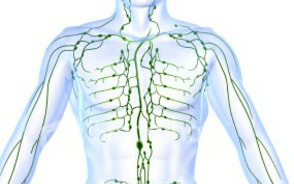 Lymphatic Drainage by Melissa Ricker, NMT in Dana Point, CA - Alignable