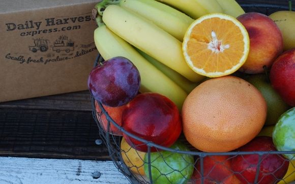 Fresh Fruit in the Break Room by Daily Harvest Express