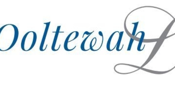 Ooltewah Living Magazine by Business Advisor, Transworld Business Advisors TN RE License 371471 GA RE License 432772