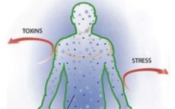 Get Your Health Back! Stop Guessing and Start Testing! by Nutrient Deficiency Analytics, LLC