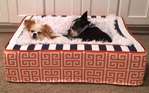 Edgy Pet Bed by J adore Custom Pet Beds in Shawnee KS Alignable