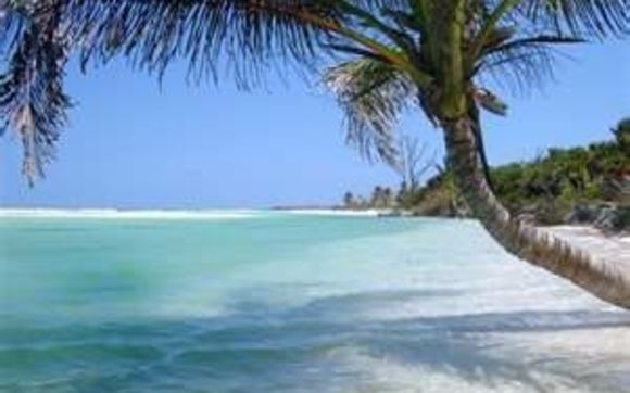 TRAVEL & MORE  by ALL2Gether Solutions LLC dba PDEFY (Projects Designed Especially For YOU)