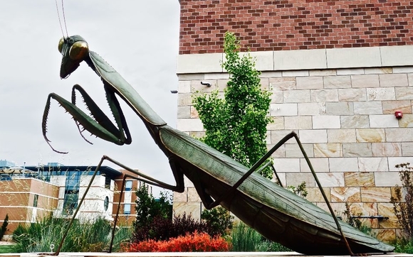 We work for sculptors.  We cast fine silicon bronze by Lands End Sculpture Center