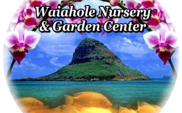 Restaurant  by Waiahole Nursery & Garden Center