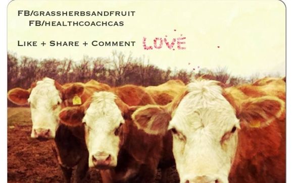 OFFERING:  by Grass Herbs and Fruit