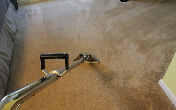 Carpet and Upholstery Cleaning Service by King's OnPoint Carpet Cleaning Service LLC™