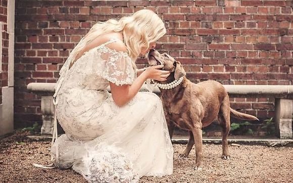 Bianca Weddings and Events partner with Furry Love Pet Sitting  by Bianca Weddings and Events Inc.