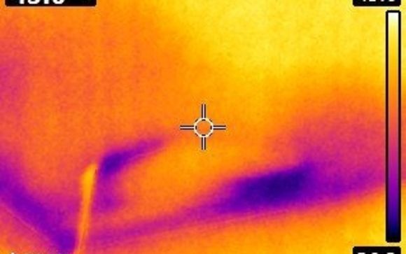 Mold Evaluation by JL Inspection Services LLC