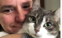 Cat sitting service  by Pet Parade Plus