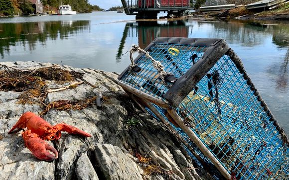 Online Travel Booking & Reservations by Seaweed Tours Lunenburg N.S.