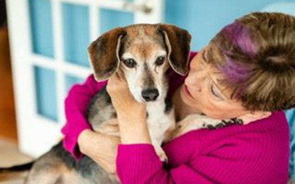 Pet Boarding Overnight Stays by Glow and Nourish in Belleville