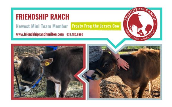 New Mini Team Member by Friendship Ranch