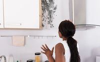 Mold Remediation  by Ace Flood Response