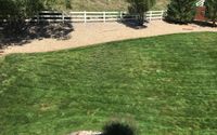 Lawn and tree maintenance by Wiens Lawn and Tree Care