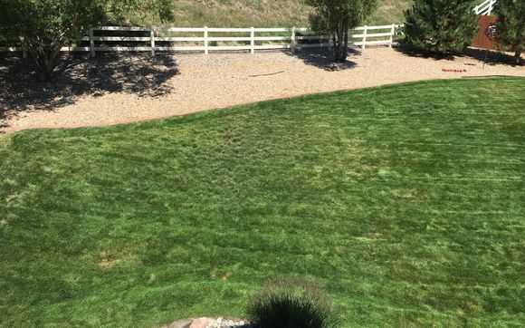 Lawn and tree maintenance by Wiens Lawn and Tree Care