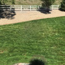 Lawn and tree maintenance by Wiens Lawn and Tree Care