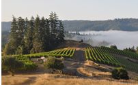 Wine Tasting by Peay Vineyards