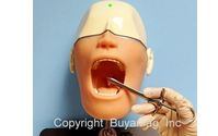 Dental Oral Anesthesia Simulator Manikin For Practice by Buyamag Inc. Dental Simulators Manikins Models For Practice Training Education Phantom Heads. Medical Teaching Anatomical Models Manikin Simulators For Education Training Practicing