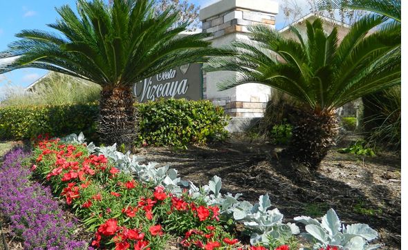 Commercial Landscape Maintenance  by Texscape Services