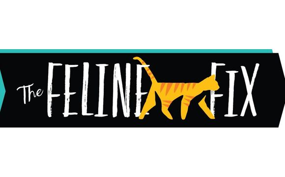 Cat Spay & Neuter & wellness by The Feline Fix