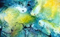 Original artwork by Margaret Park Fine Art